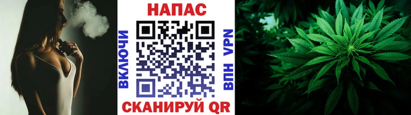 Бошки Шишки сатива Вельск